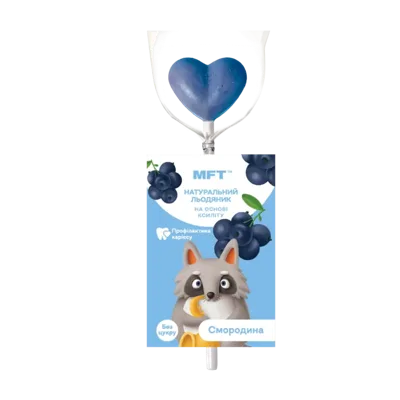 Xylitol lollipop on a stick “Blackcurrant”
