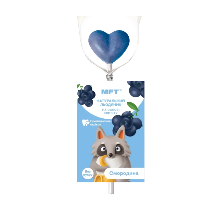 Xylitol lollipop on a stick “Blackcurrant”